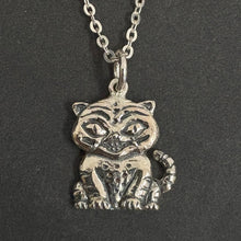 Load image into Gallery viewer, Silver Derby Necklace