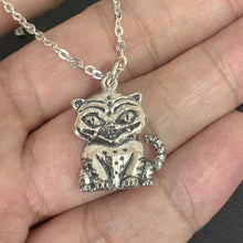 Load image into Gallery viewer, Silver Derby Necklace