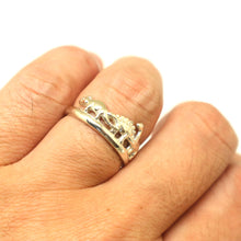 Load image into Gallery viewer, Dinosaur Family Ring