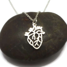 Load image into Gallery viewer, 925 Silver Anatomical Heart Necklace