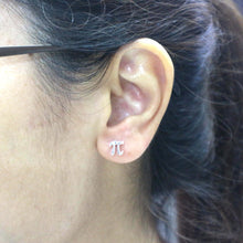 Load image into Gallery viewer, Silver PI Earrings