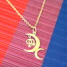 Load image into Gallery viewer, Silver Bisexual Jewelry Necklace