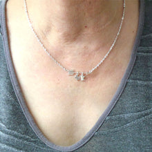 Load image into Gallery viewer, Silver Arrow Texas to Minnesota Necklace