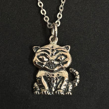 Load image into Gallery viewer, Silver Derby Necklace
