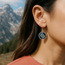 Load image into Gallery viewer, Pokemon Mega Stone Earrings

