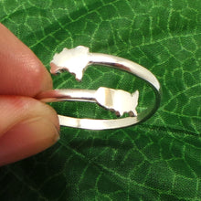 Load image into Gallery viewer, Silver Brazil to United States Ring
