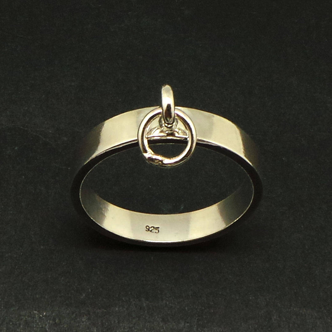 4mm Silver Ring of O Bdsm Collar Ring
