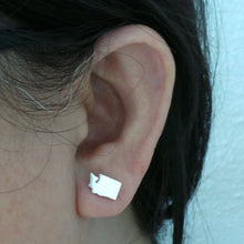 Load image into Gallery viewer, Silver Washington State Pride Stud Earring
