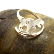 Silver Tyrannosaurus Dinosaur Ring